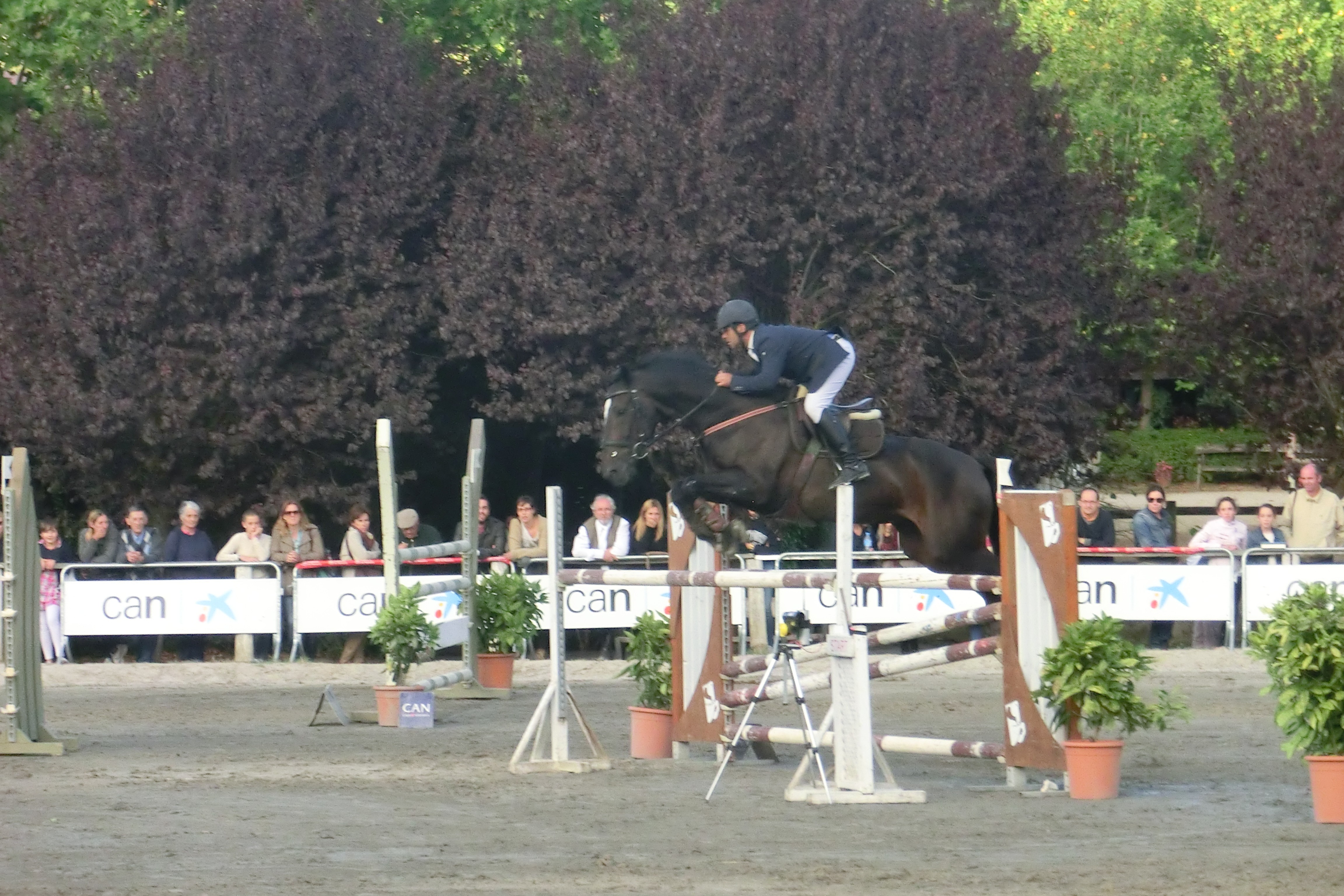 XXII Gran Premio San Fermin "Memorial Teresa Moreno"